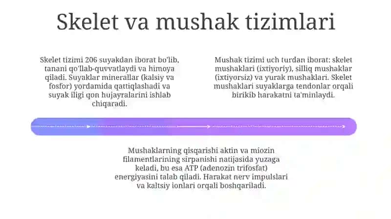 Hayvonlar anatomiyasi va fiziologiyasi 4