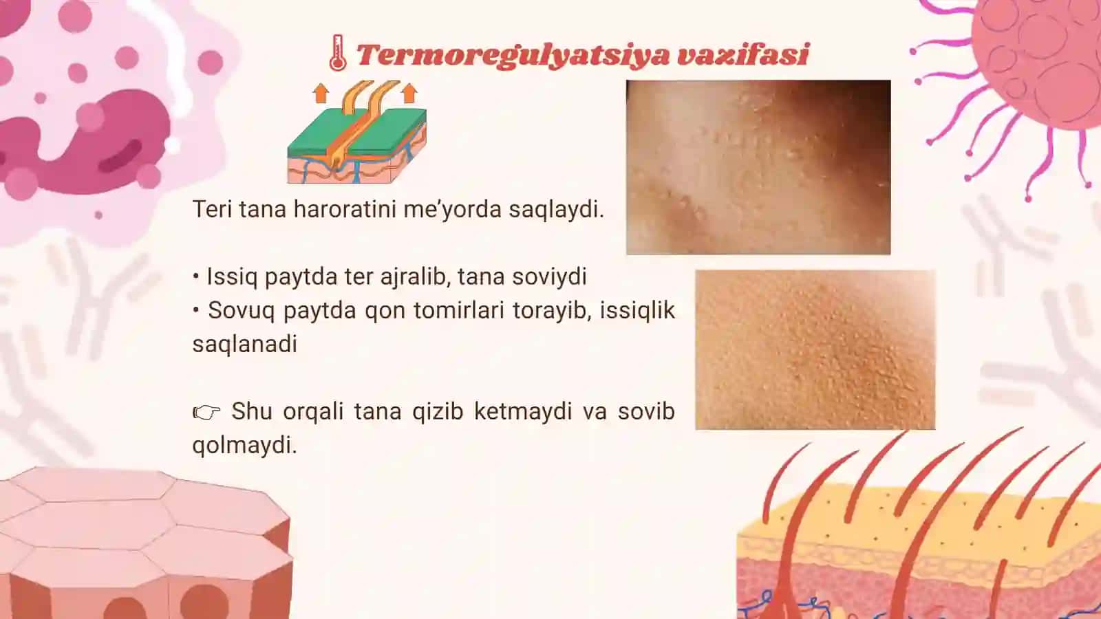 TERI VA UNING HOSILALARI 4