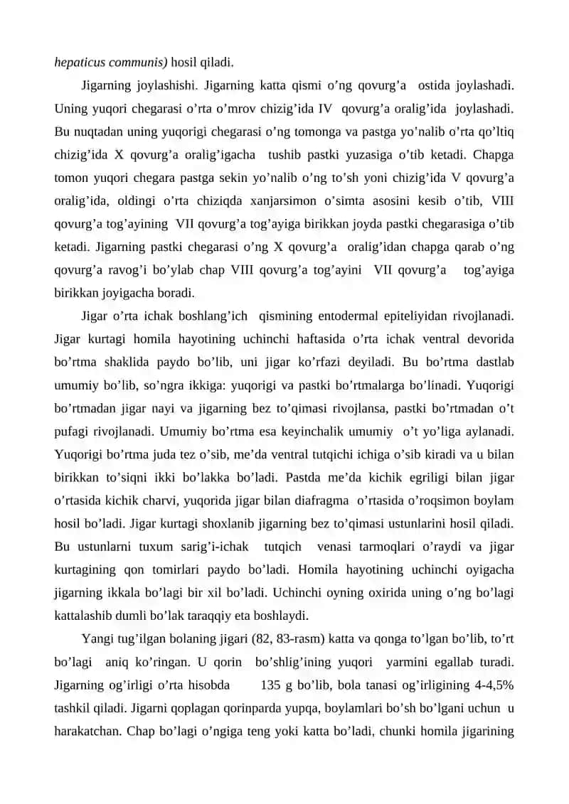 Jigar 4