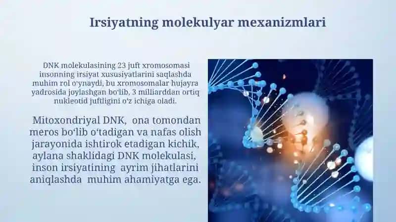 DNK molekulasining genetik axboratini va irsiy belgilarini saqlanadigan oʻrni 4