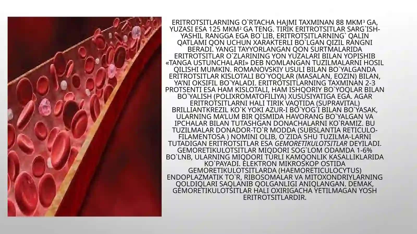 QONNING SHAKLLI ELEMENTLARI 4