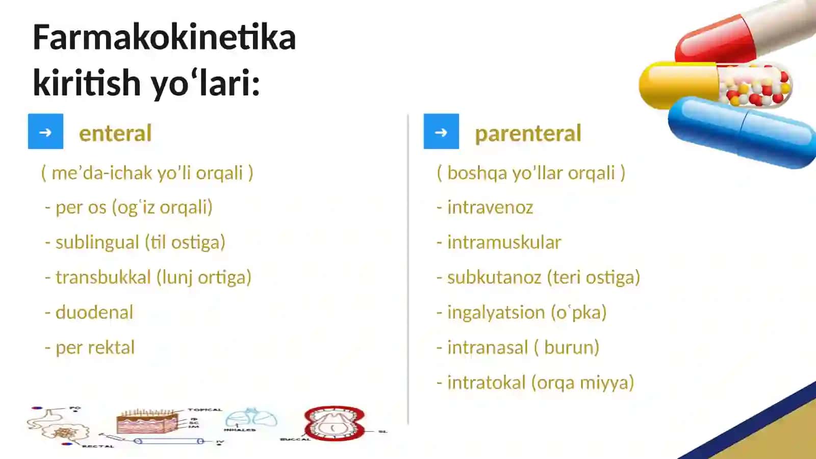 FARMAKOLOGIYA , FARMAKOLOGIYA BO'LIMLARI , KIRISH , FARMAKOKINETIKA , FARMAKODINAMIKA 4