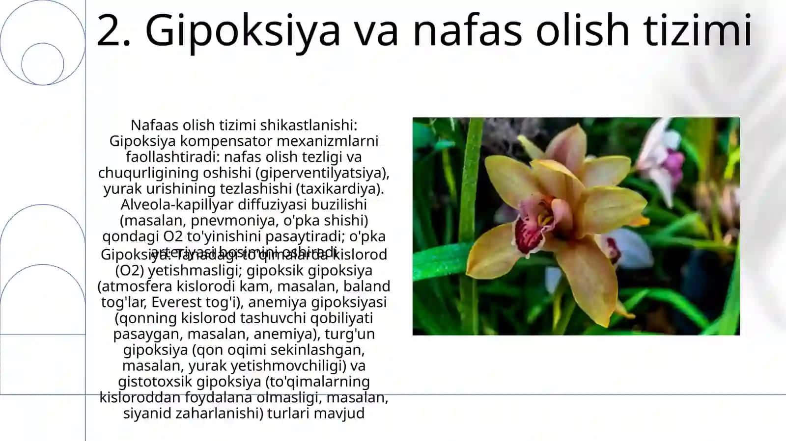 Gipoksiya turlari va axamiyati 4