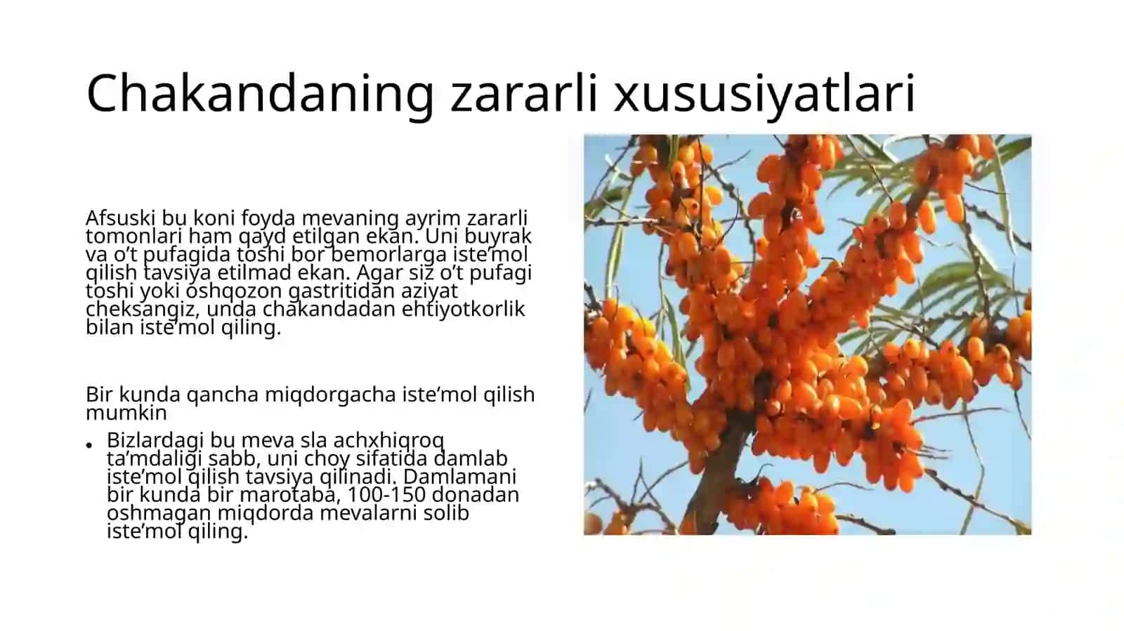 Chakana haqida foydali va zararli maʼlumotlar 4