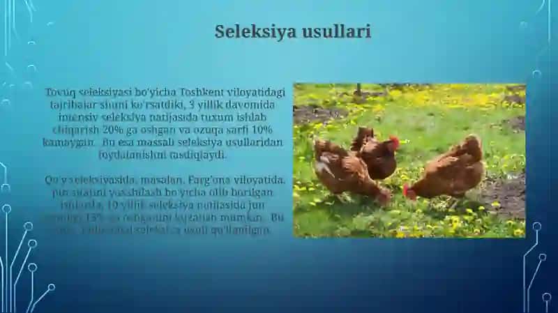 Nasldorlikning iqtisodiy samaradorligi 4