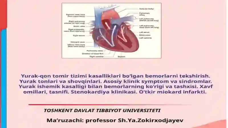 Yurak-qon tomir fiziologiyasi 4