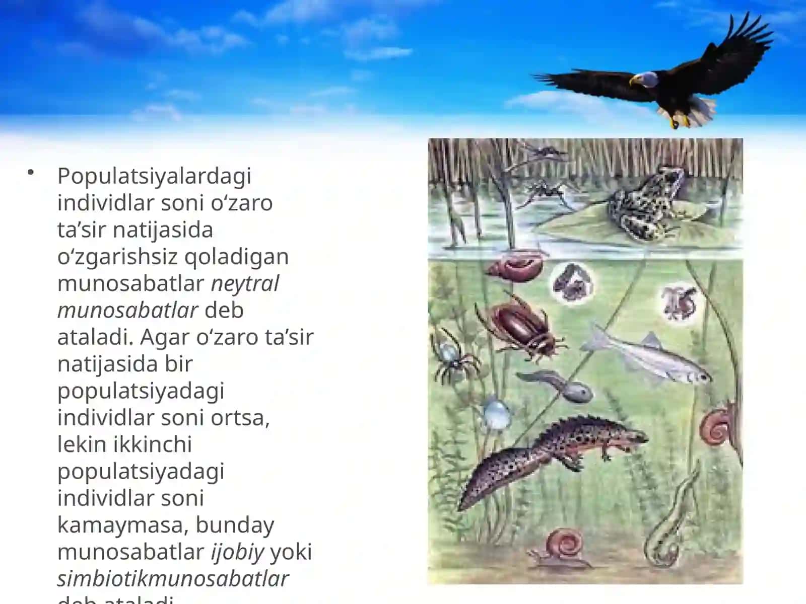 Muhitning biotik omillari 4