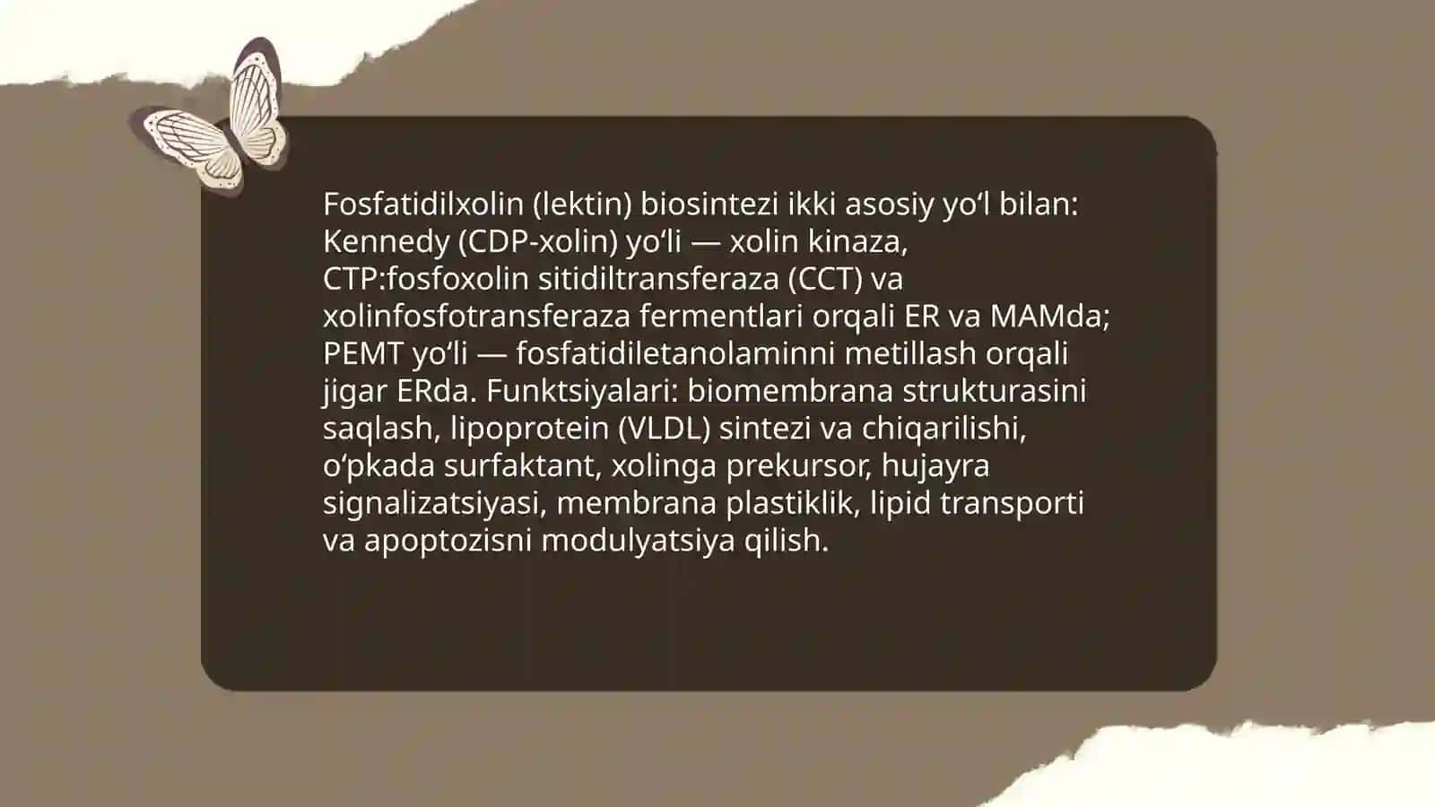 Fosfatidilinositolning metabolizmi va signalizatsiya 4