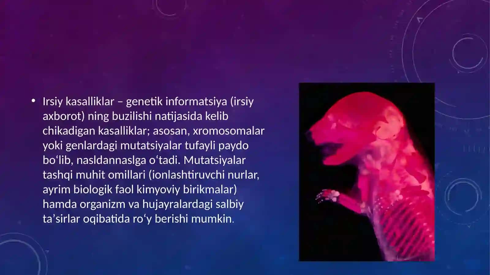 Hayvonlar patofiziologiyasi fanidan mustaqil ta'lim ishi 4