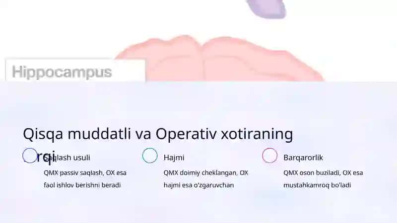 Qisqa muddatli va Operativ xotira 4