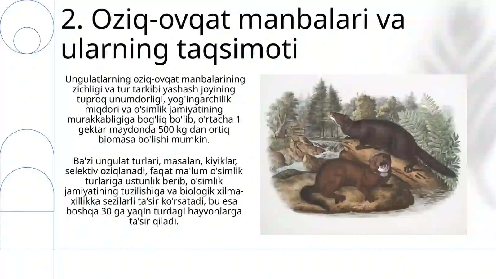 Sutemizuvchi hayvonlar ekologiyasi 4