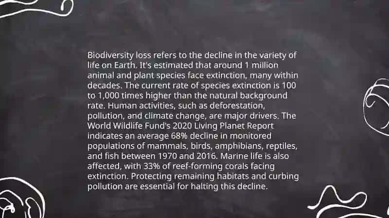 Global problems of the present 4