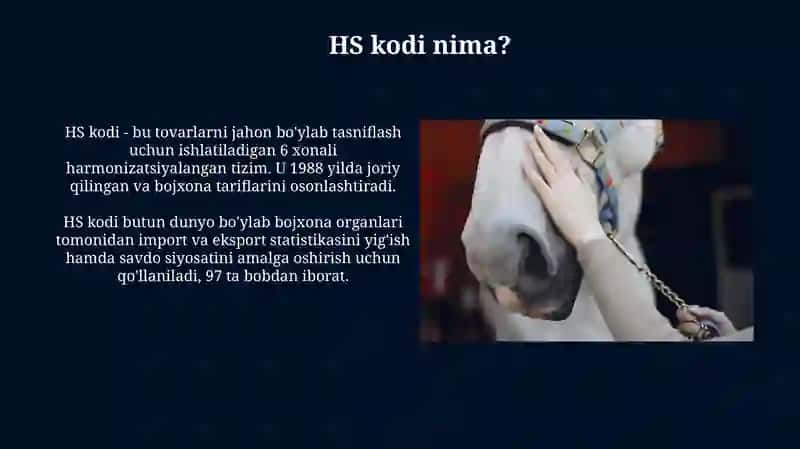 Korumol va zotdor otlarning tif tn kodi boʻyicha identifikatsiyalash 4