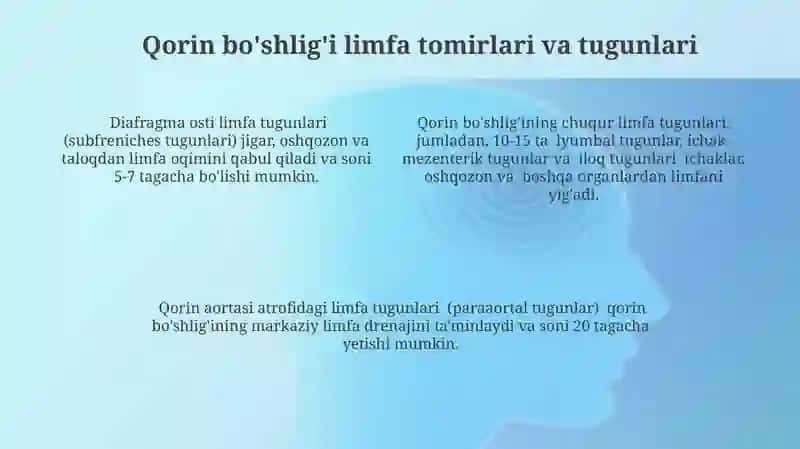 Oyoq, chanoq, qorin boʻshligʻi limfa tomirlari va tugunlari 4
