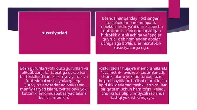 Fosfolipidlar, xususiyatlari, tuzilishi, funktsiyalari, turlari 4