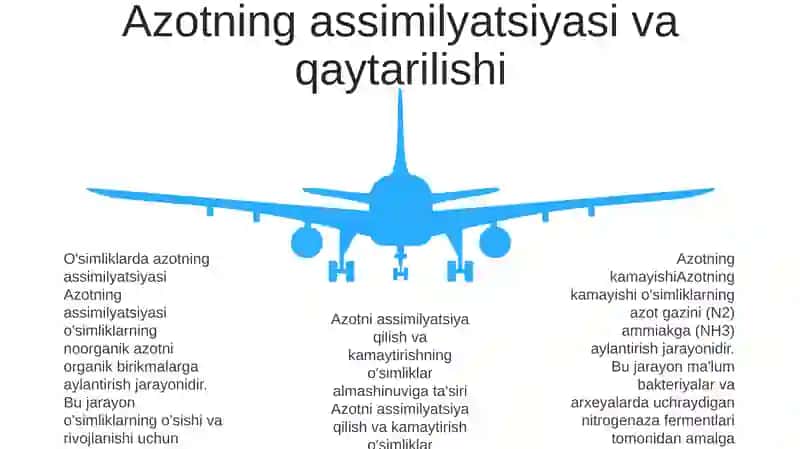 Azotning O'Simliklardagi Modda Almashinuviga Ta'Siri Ilhomovna 4