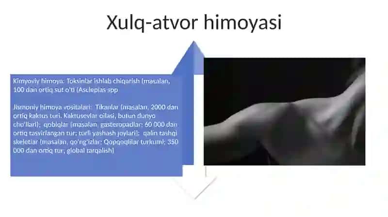 Jismoniy to'siqlar 4