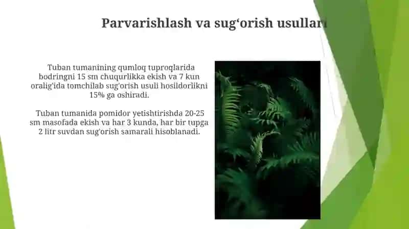 Tuban o'simlikarda nasllar gallanishi 4
