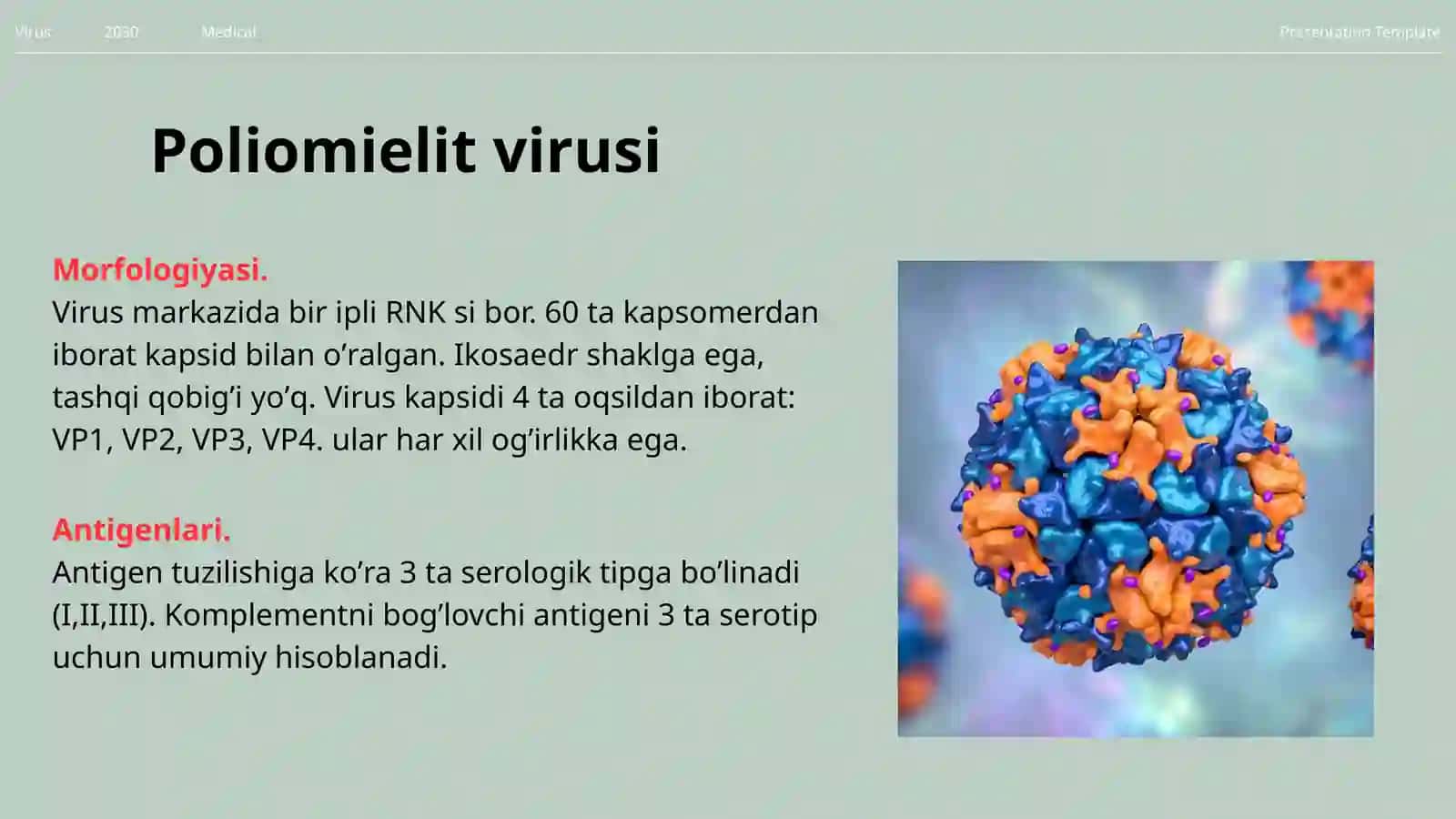 RNK saqlovchi viruslar keltirib chiqaruvchi kasalliklar qo'zg'atuvchilari: Pikornoviruslar va Koronaviruslar 4