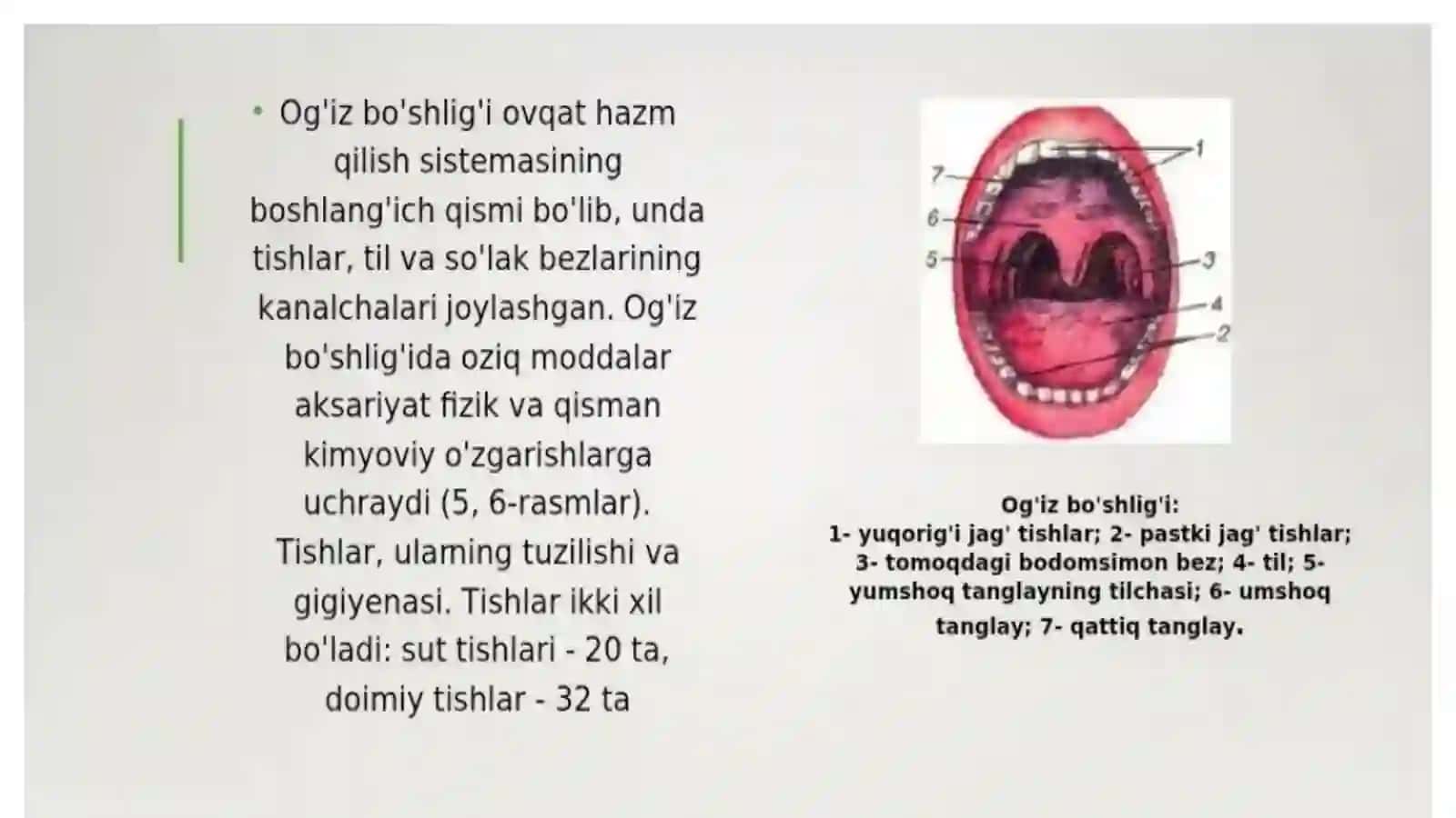 Ko'p tarmoqli tibbiyot texnikumi 4