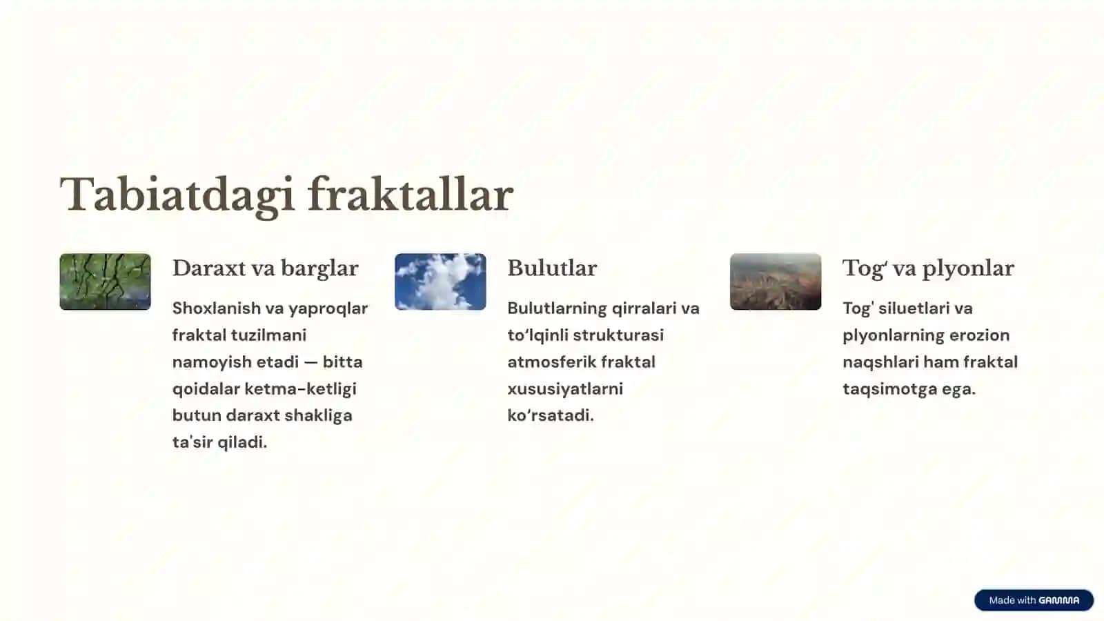 Fraktal Grafika: Sirli Dunyo va Dasturlar 4