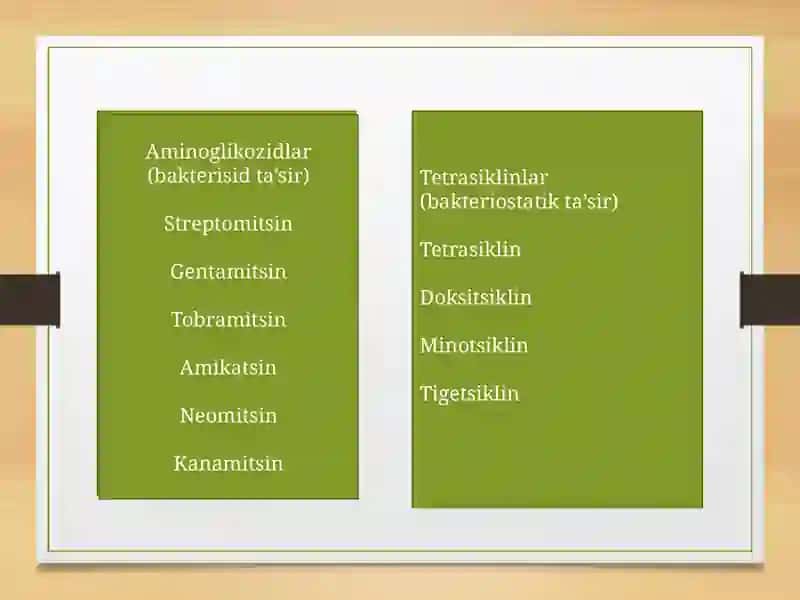 Oqsil biosentizi ingibitorlari (dori vositalari,preparatlar va bakterial toksinlar) 4