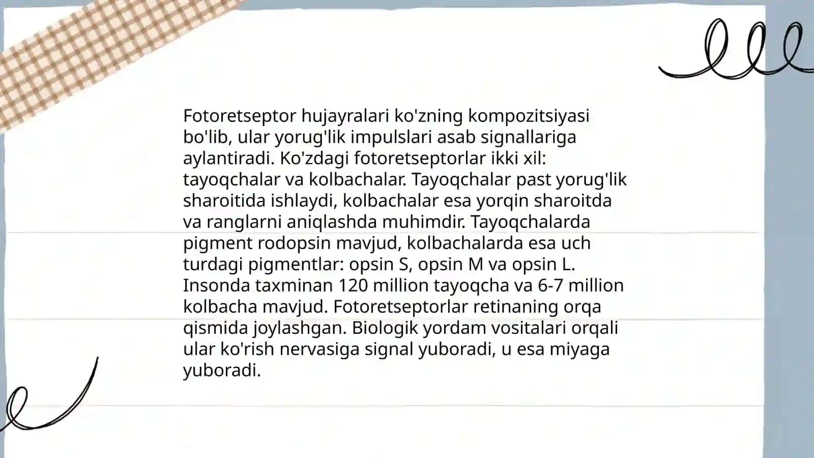 Fotoretsepsiyaning morfologik asoslari 4
