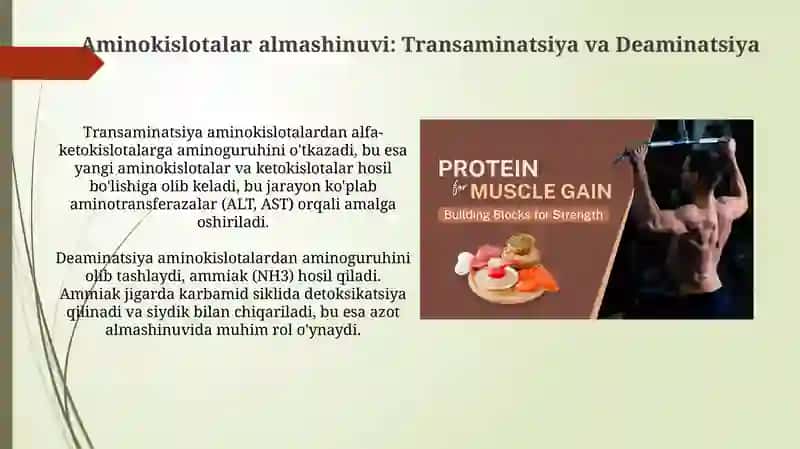 Odam organizimi da oqsillarning biokimyoviy ozgarishi 4