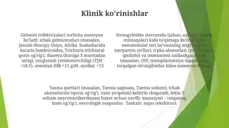 Gelmintlar Biologiyasi va Klassifikatsiyasi 4
