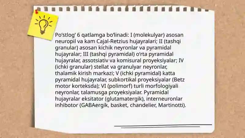 Bosh miya katta yarimsharlar poʻstlogʻi, uni olib tashlash oqibatlari, qavatlari va poʻstloqdagi elektr hodisalar 4