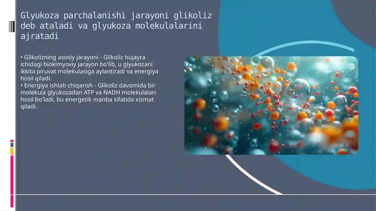 Karbonsuvlar almashinuvi. Glyukozaning organizmda sarflanish yo‘llari. Glikogen almashinuvi 4