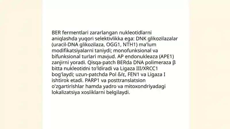 Reparatsiya fermentlari faoliyatining xilma xiligi 4