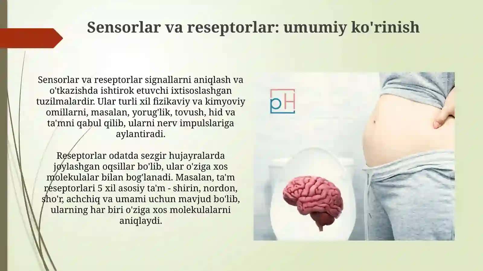 Sensortizimtambilishningbiokimyoviyasosiruhiyasabtizimikasalligikelibchiqishmexanizmi 4