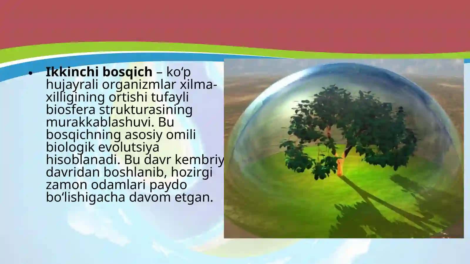"Biosfera Evolutsiyasi. Biogenez" Dars Ishlanmasi 4
