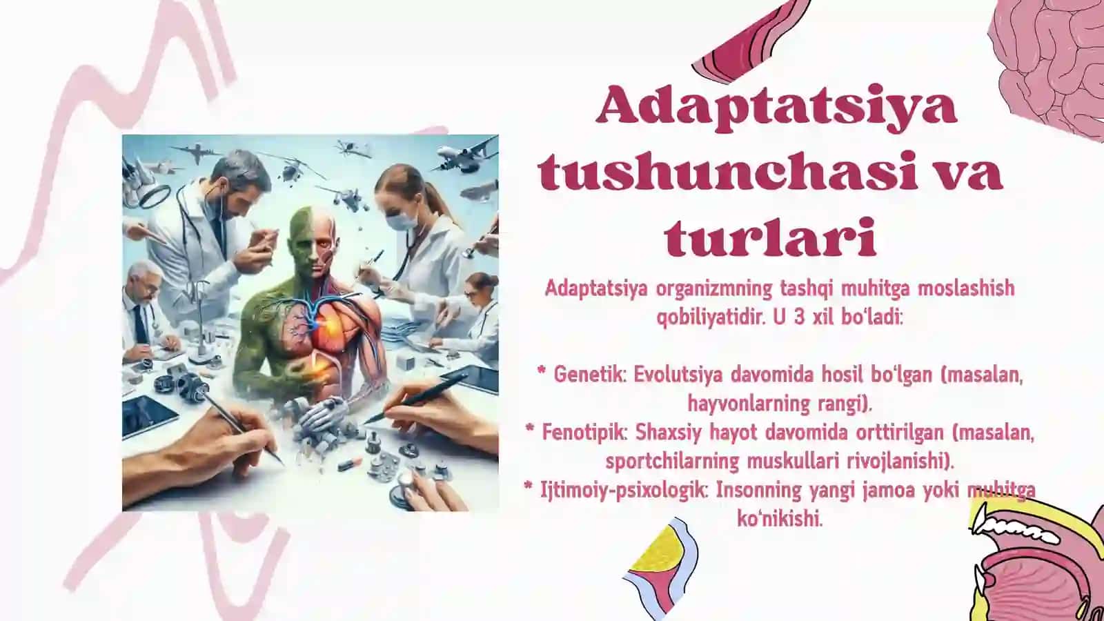 Organizmning moslashishi va uning bosqichlari 4