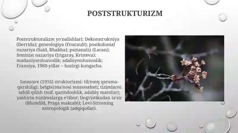 Strukturalizm va uning yo'nalishlari 4