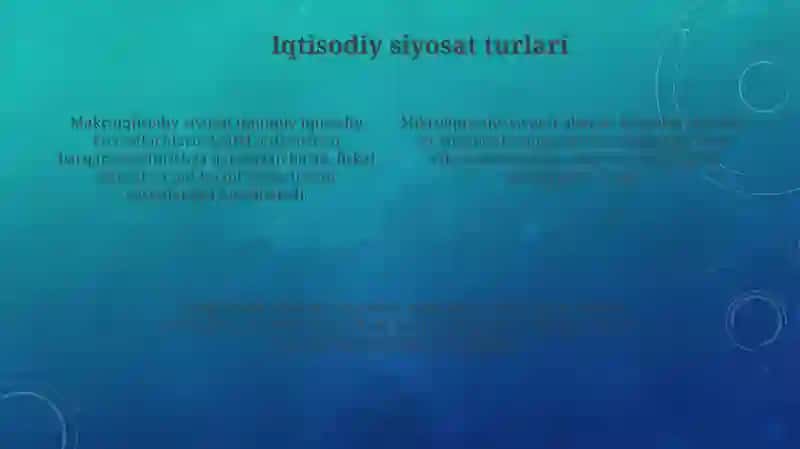 Iqtisodiy siyosatning tipologiyasi va konsepsiyasi 4
