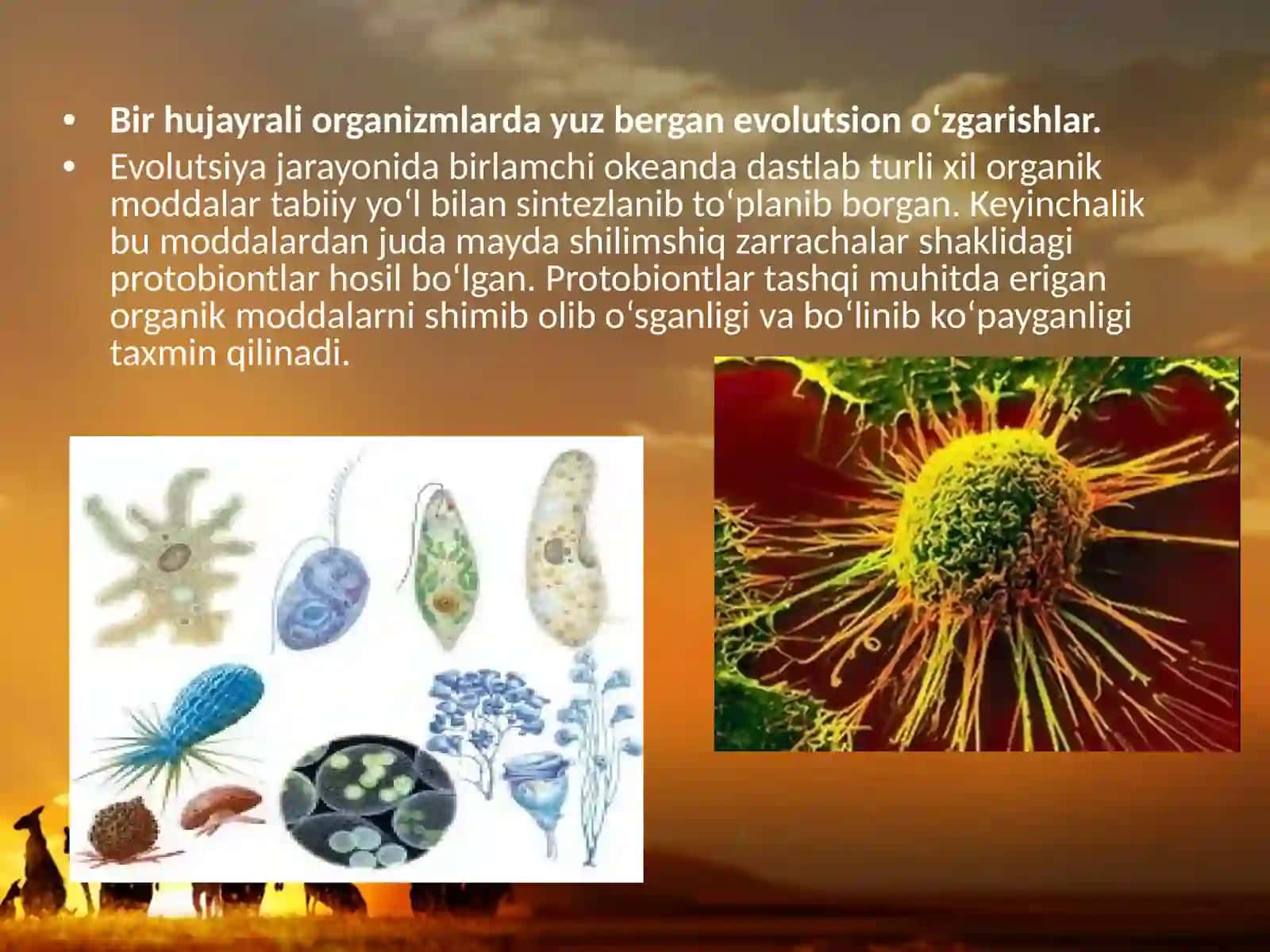 38-§.Hayvonot dunyosidagi evolutsion o‘zgarishlar 4