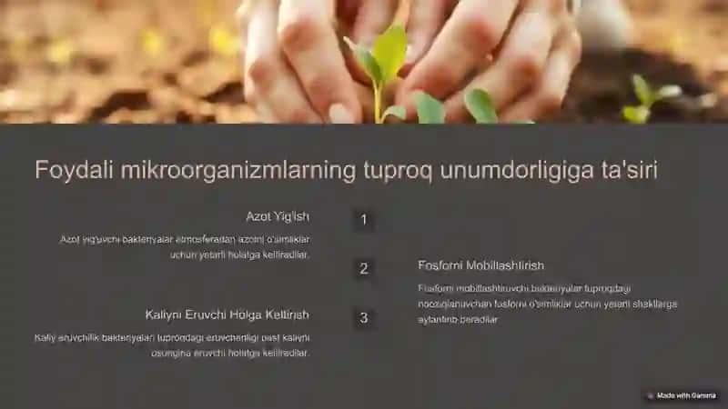 Tuproq unumdorligini oshirishda mikroorganizmlardan foydalanish 4