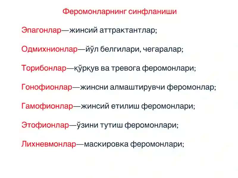 Ферамонлар Feramonlar 4
