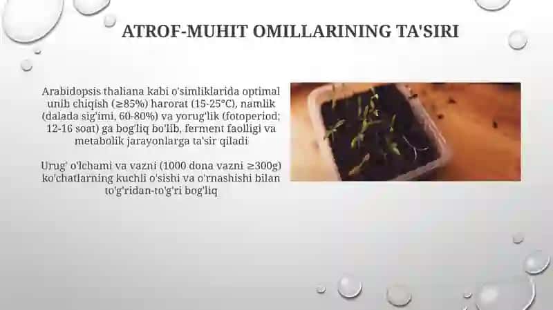 Urug'likni ishlov berish texnologiyalari 4