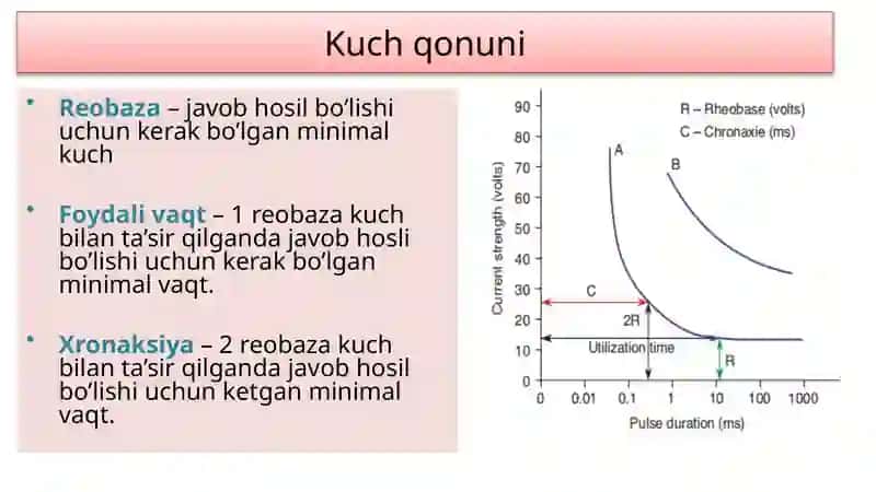 Nerv tolalari va sinapslar fiziologiyasi. Muskullar fiziologiyasi. 4