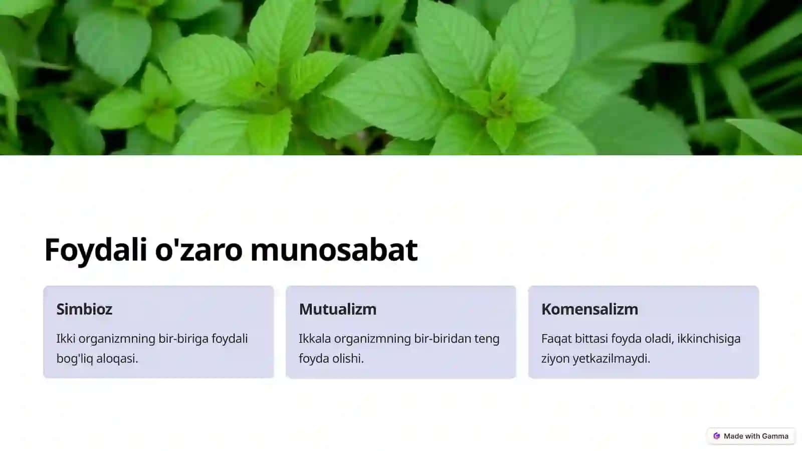 Tirik organizmning o'zaro munosabat shakillari 4