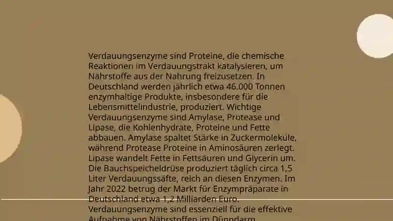 Anatomie des Verdauungssystems 4