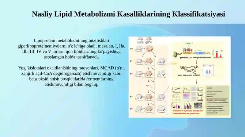 Lipid metabolizmi 4