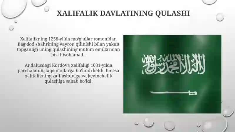 Arab halifaligi davlat va huquqi 4