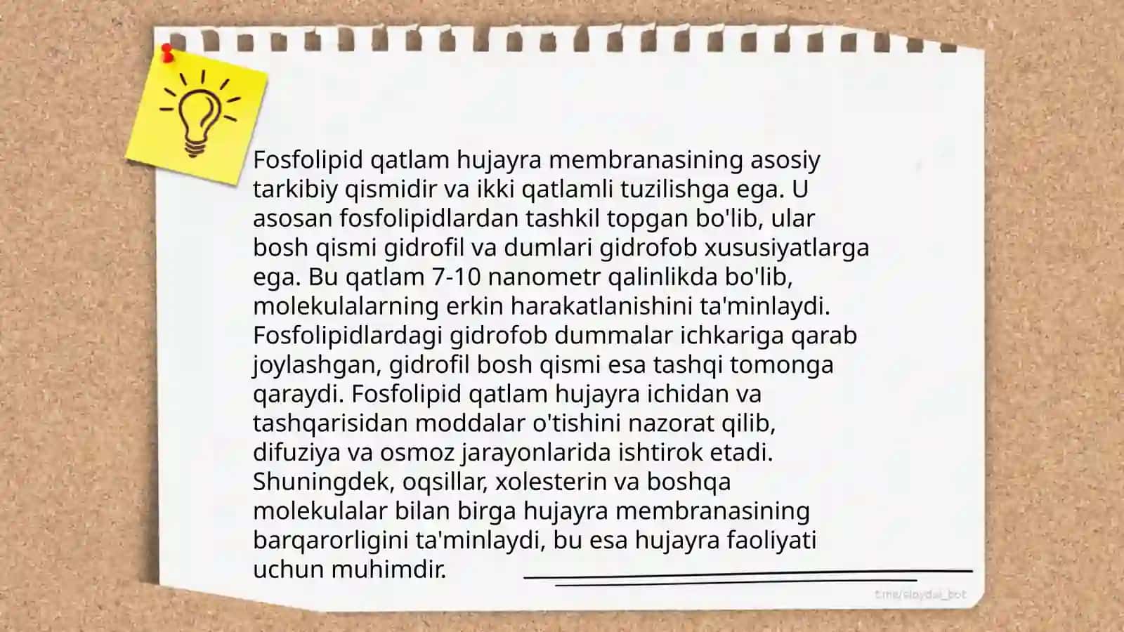 Hujayra membranasi uning nozik tuzilishi va hujayraga moddalarningvkirishi 4