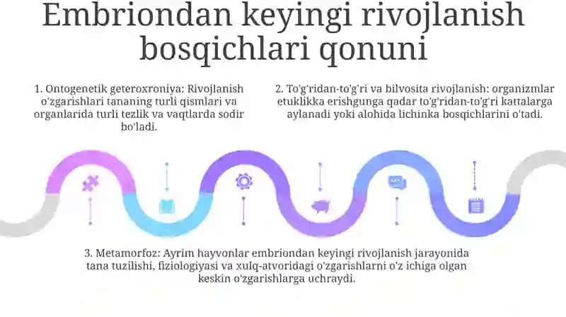 Postembrional Rivojlanishning Umumiy Qonuniyatlari 4
