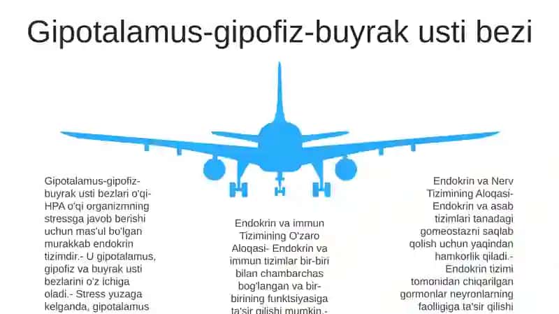 Endokrin va asab tizimlari: umumiy ko'rinish 4