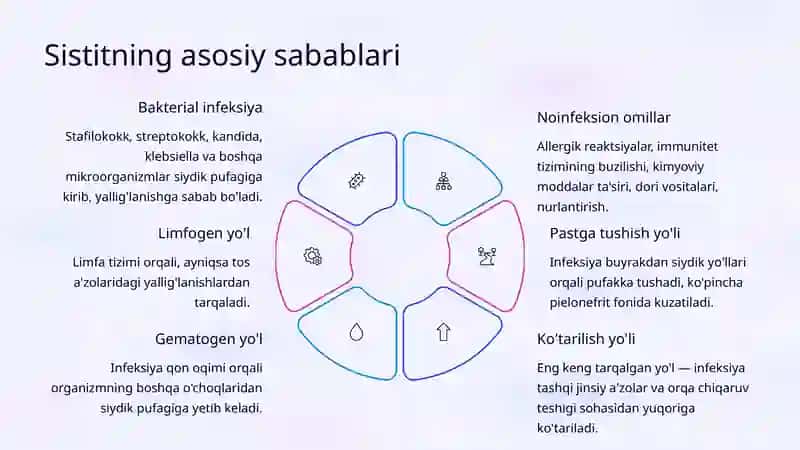 Sistit: Turlari, Klinik Ko'rinishlari va Davolash 4